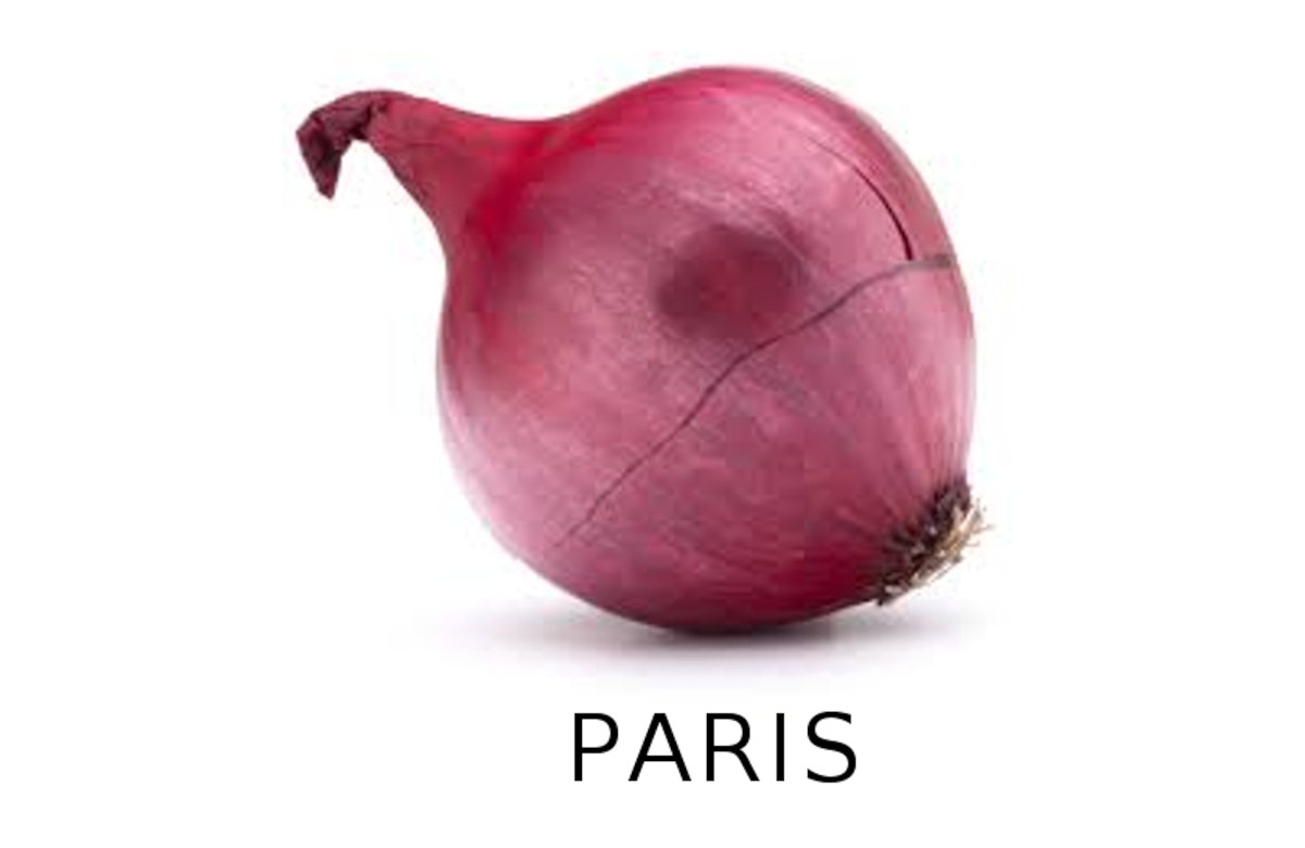 Cipolla